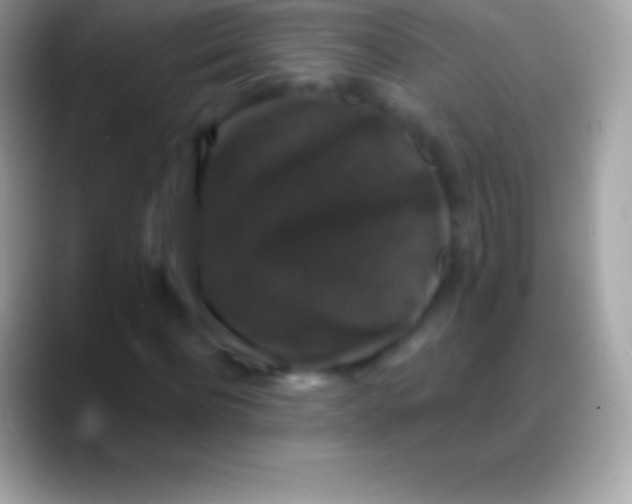 X0000088140916200706041334