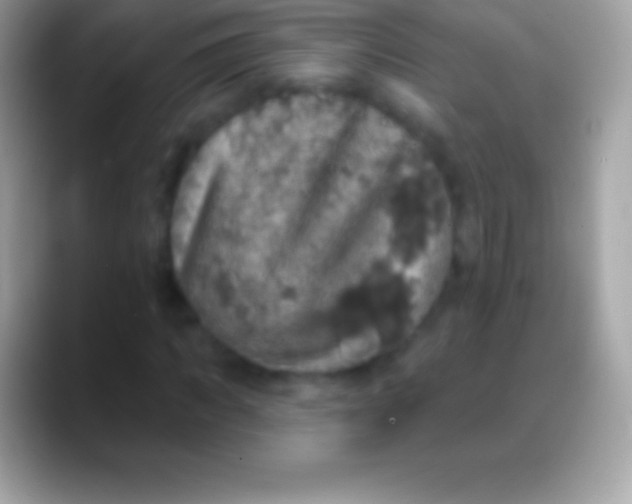 X0000088140917200706041334