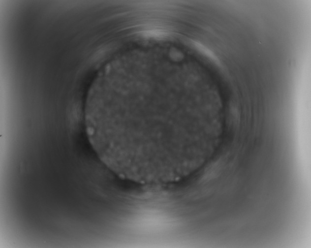 X0000088140918200706041334