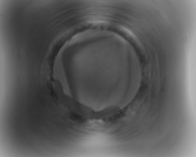 X0000088140919200706041334