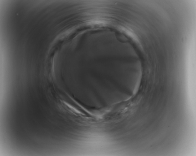 X0000088140920200706041334