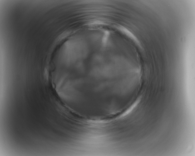 X0000088140921200706041334