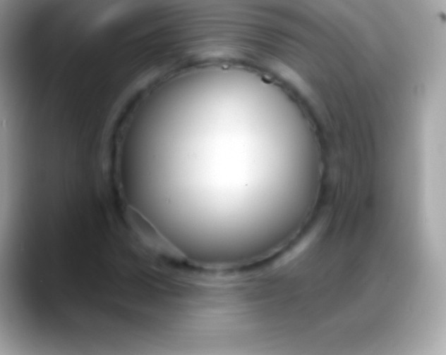 X0000088140922200706041334