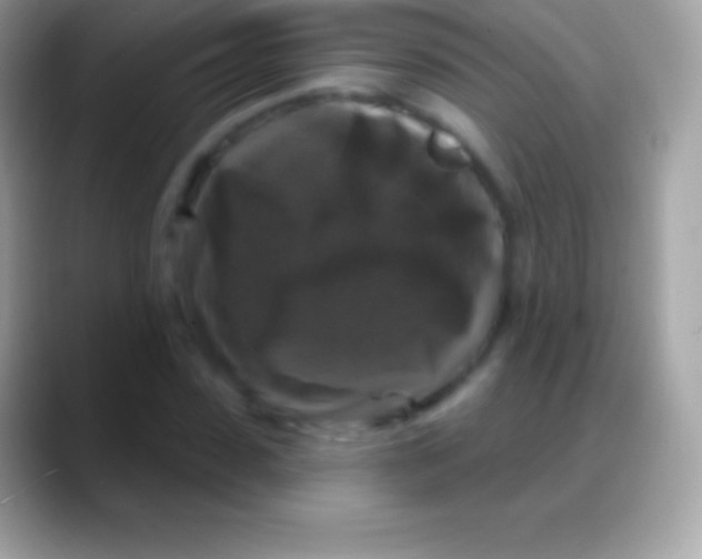 X0000088140923200706041334