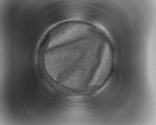 X0000088140924200706041334