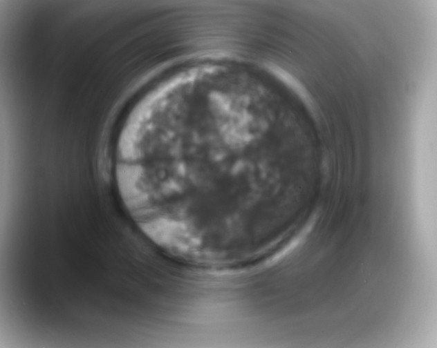 X0000088140925200706041334