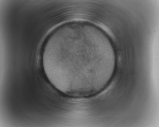 X0000088140926200706041334