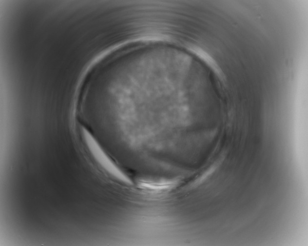 X0000088140928200706041334