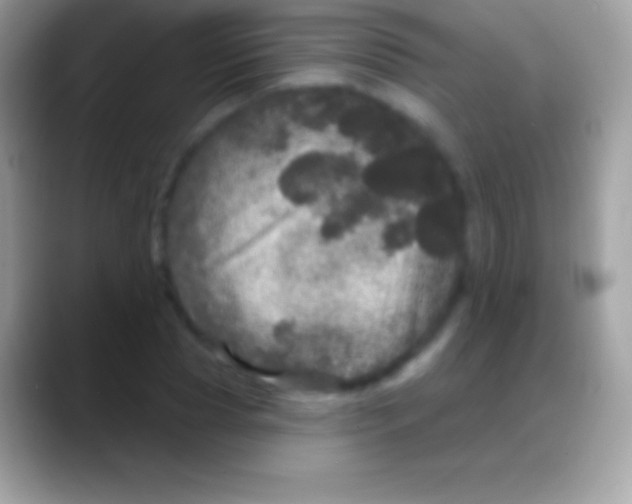 X0000088140929200706041334