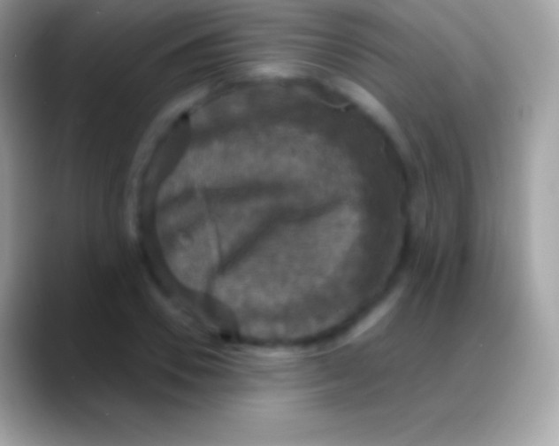 X0000088140930200706041334