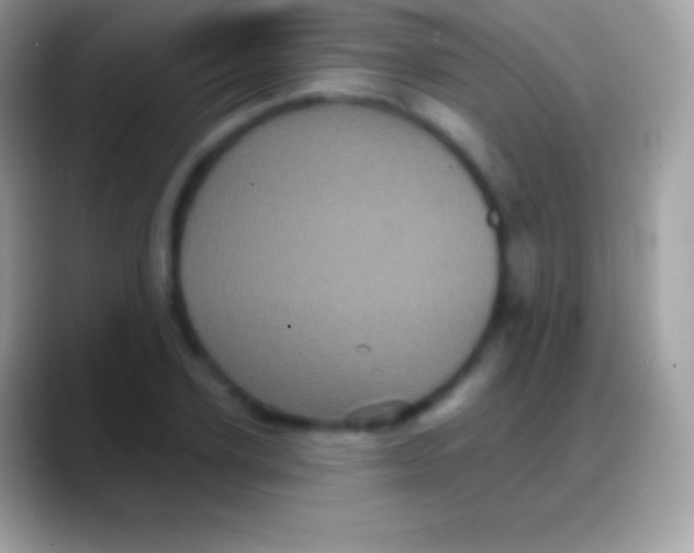 X0000088140931200706041334