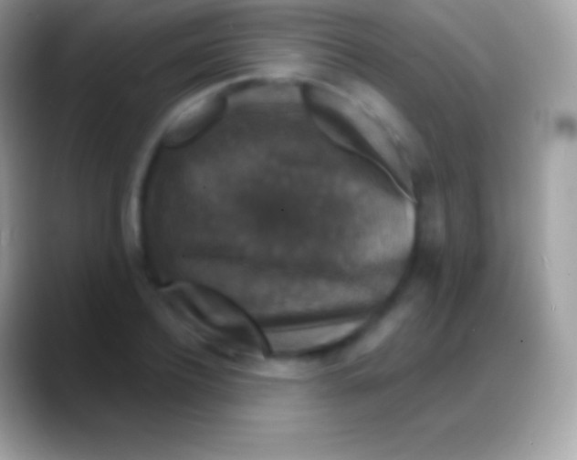 X0000088140932200706041334