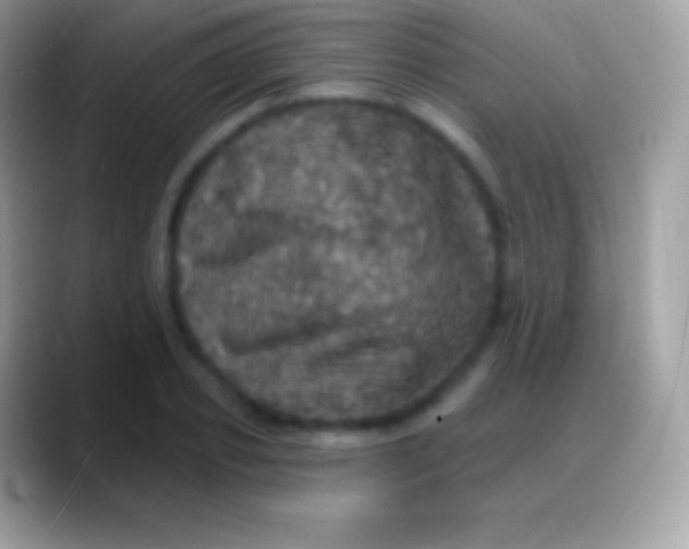 X0000088140933200706041334