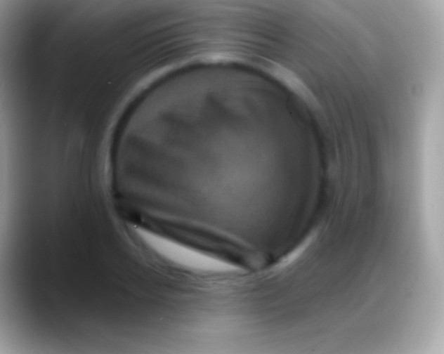 X0000088140934200706041334