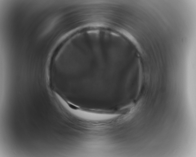 X0000088140935200706041334