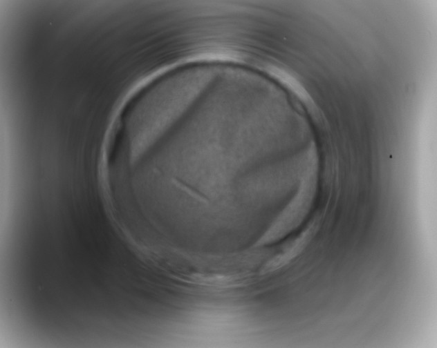 X0000088140936200706041334