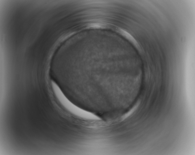 X0000088140938200706041334