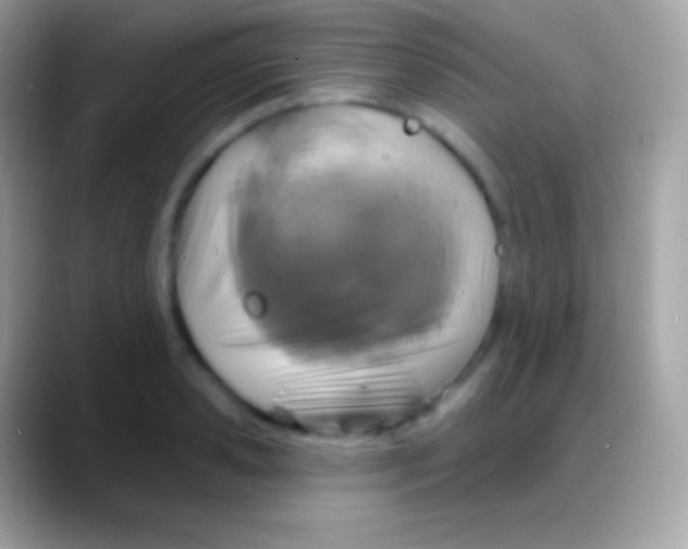 X0000088140941200706041334