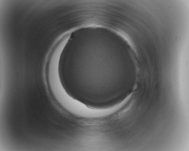 X0000088140942200706041334