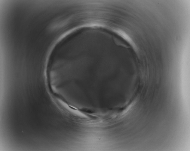 X0000088140943200706041334