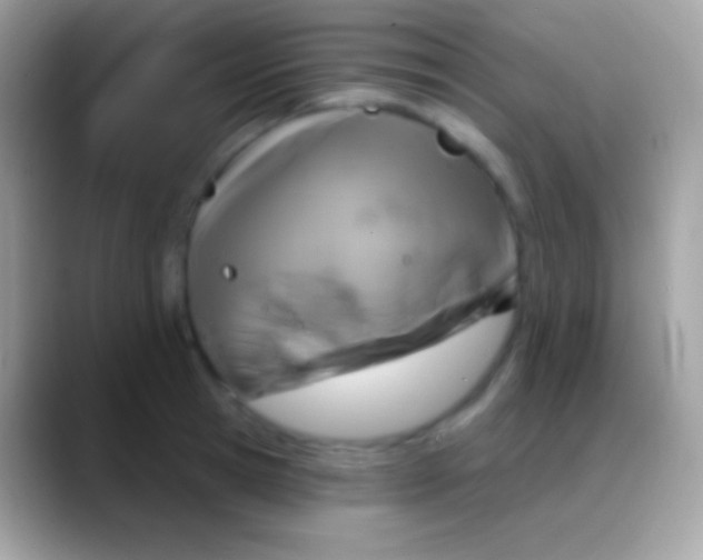 X0000088140945200706041334