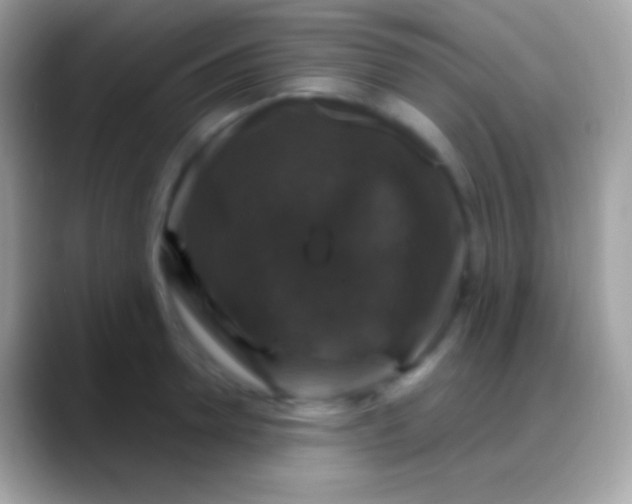 X0000088140946200706041334