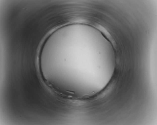 X0000088140947200706041334