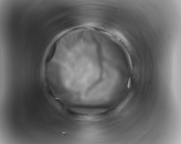 X0000088140948200706041334