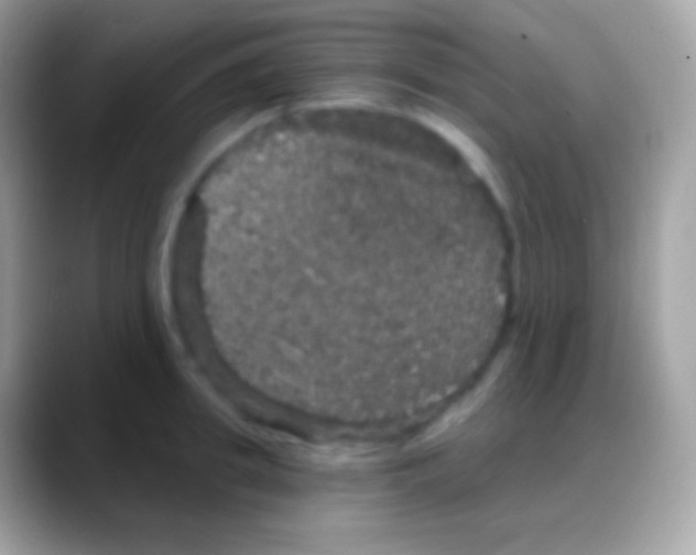 X0000088140949200706041334