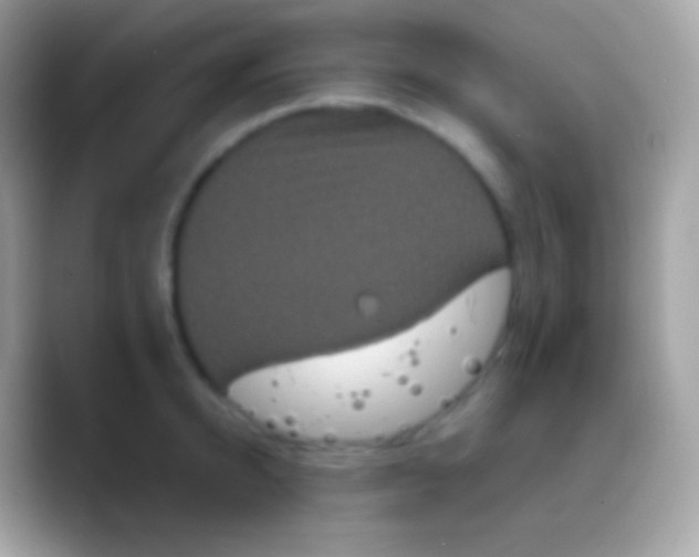 X0000088140950200706041334