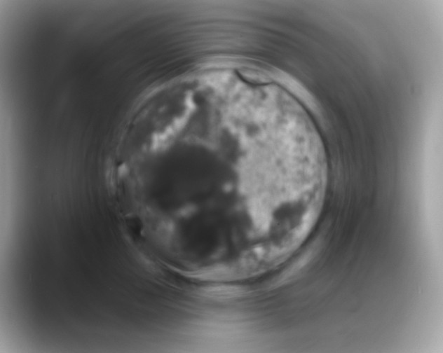 X0000088140953200706041334