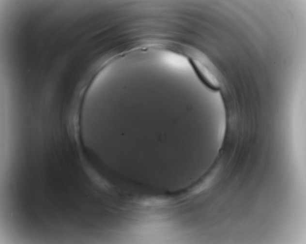 X0000088140954200706041334