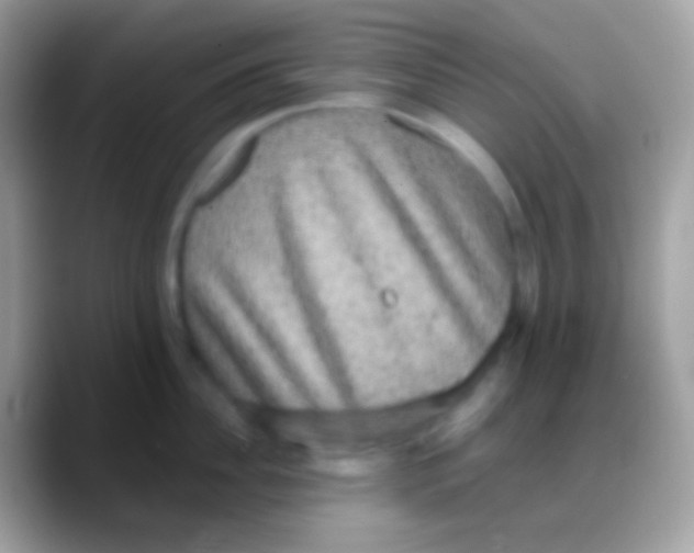 X0000088140956200706041335