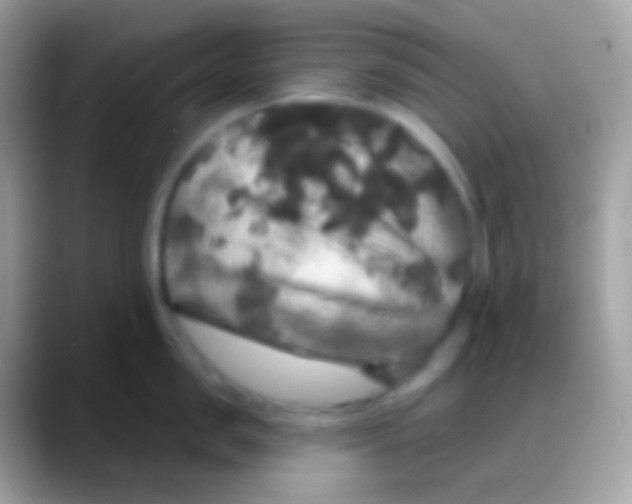 X0000088140957200706041335