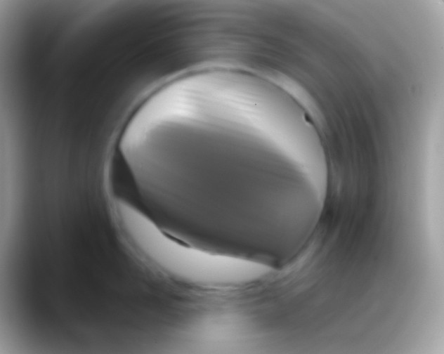 X0000088140958200706041335