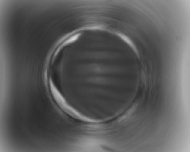 X0000088140959200706041335