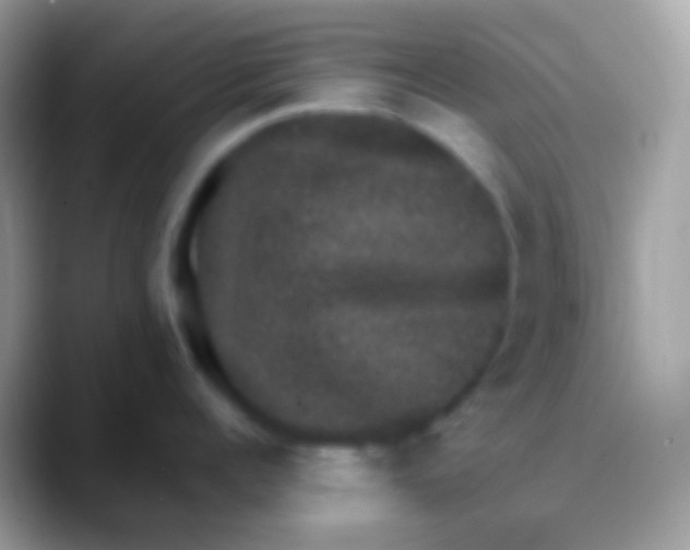 X0000088140960200706041335