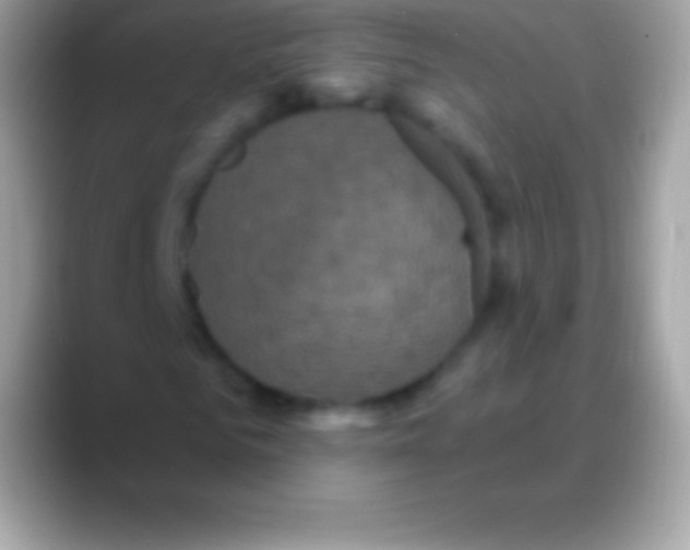 X0000088140961200706041334