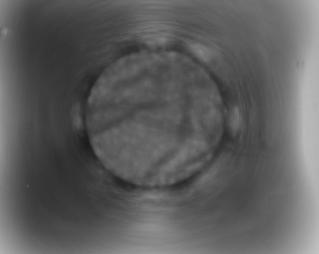 X0000088140962200706041334