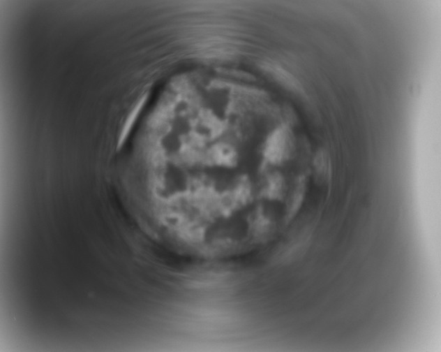 X0000088140963200706041334