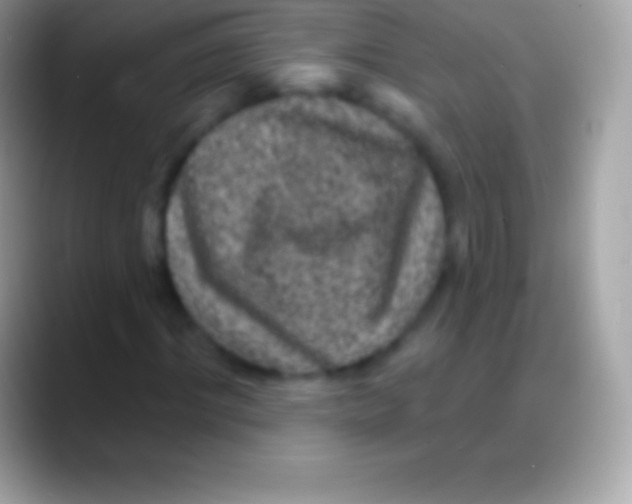 X0000088140964200706041334