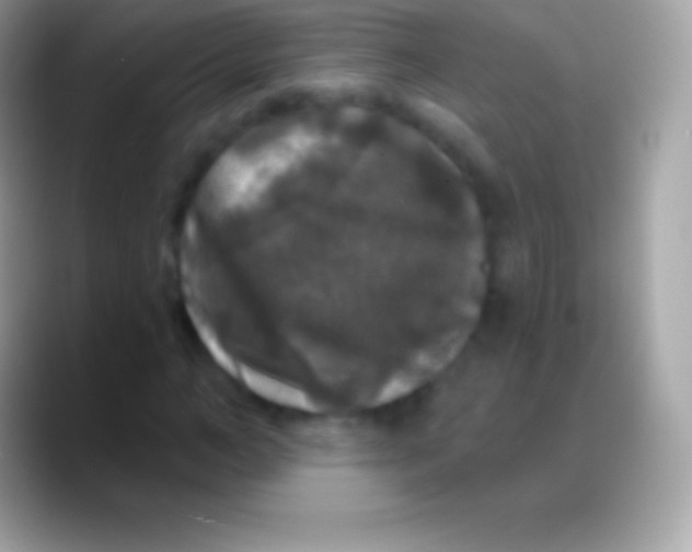 X0000088140966200706041334