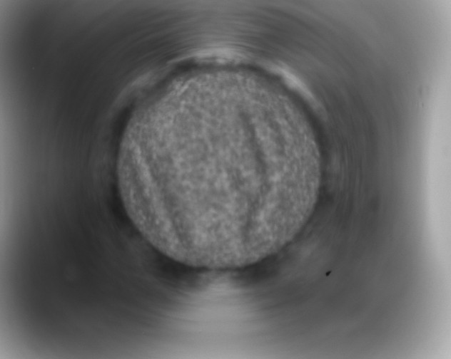 X0000088140967200706041334