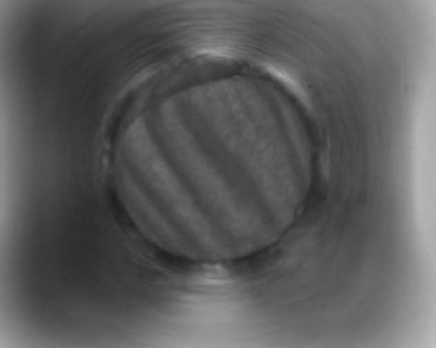 X0000088140968200706041334