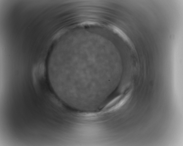 X0000088140969200706041334