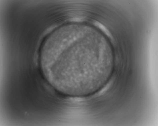 X0000088140970200706041334