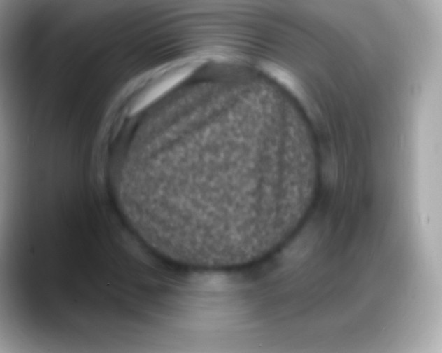 X0000088140971200706041334