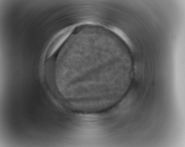 X0000088140972200706041334