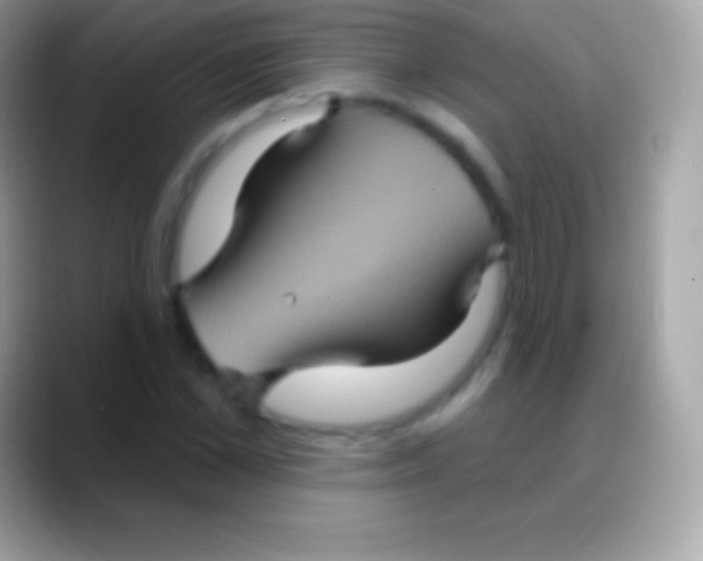 X0000088140973200706041334