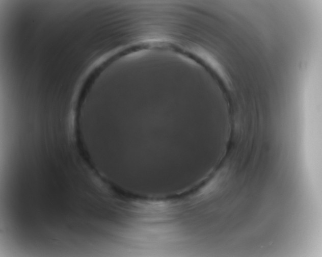 X0000088140975200706041334